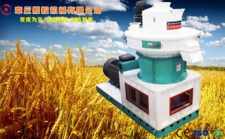 中國(guó)創(chuàng)新提速，綠色經(jīng)濟(jì)之離心高效環(huán)模顆粒機(jī)