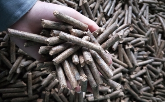 鋸末顆粒機(jī)顆粒，一種快速增長(zhǎng)的能源載體
