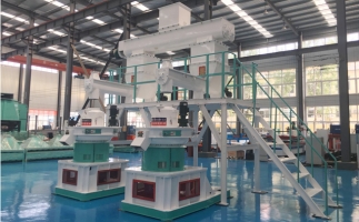 木屑顆粒機(jī)多少錢一臺?建顆粒廠大約多少錢？