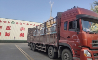 忙碌的五月，忙碌的發(fā)貨，金格瑞顆粒機(jī)生產(chǎn)線發(fā)往全國各地