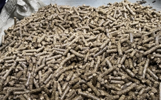 為什么很多人想了解木屑顆粒機(jī)加工的燃料顆粒作用？