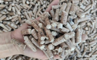 木材加工廠木屑堆積如山，環(huán)保部門令趕緊處理怎么辦？有它就夠了