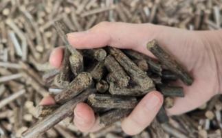 木屑燃料顆粒熱值多少大卡，完全取決于燃料的原料